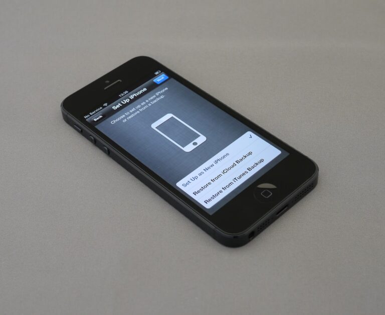 iPhone photo management app