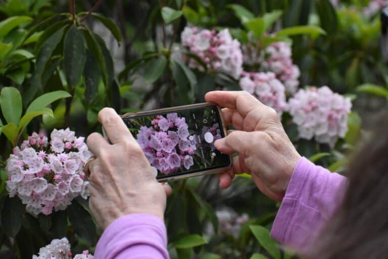 app for finding items by picture